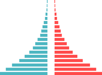 Population pyramid Population pyramid