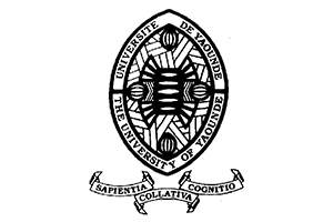 The University of Yaounde