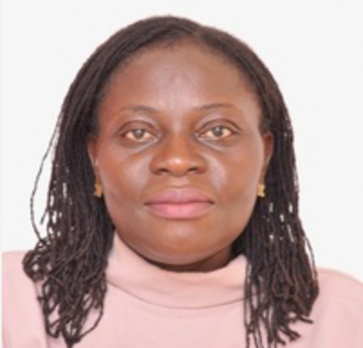 Dr. Mavis Akuffobea-Essilfie