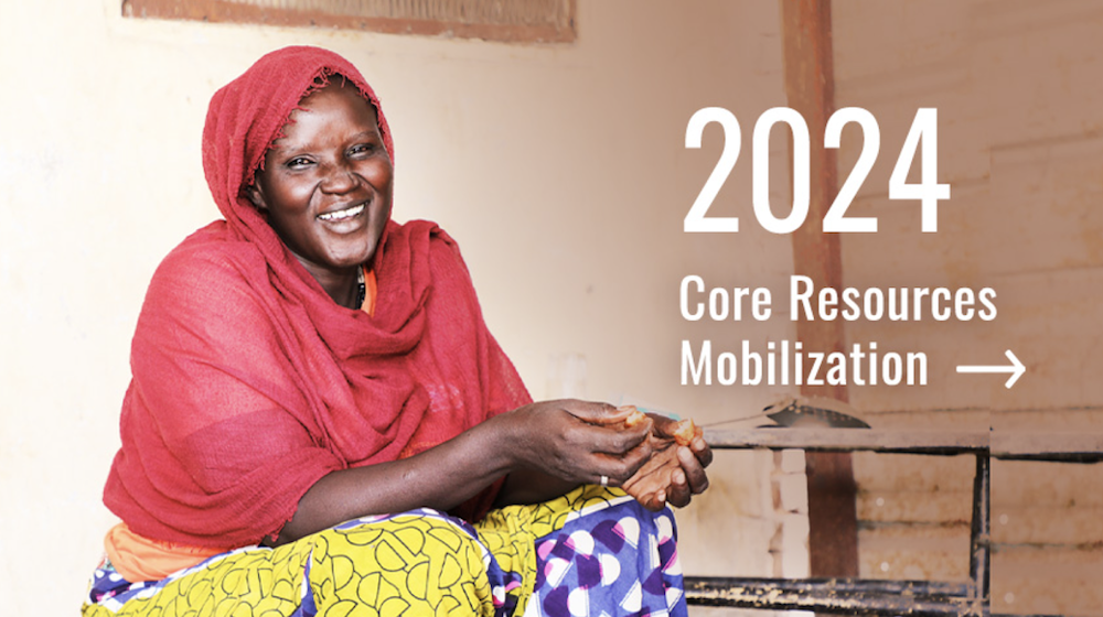 UNFPA 2024 Core funding mobilization