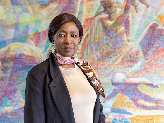 UP12YBW ED 560x420.jpg