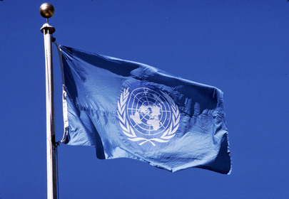 UN Agencies