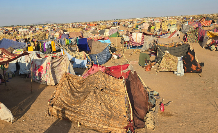 A desert landscape is filled by makeshift tents created from blankets and sticks.