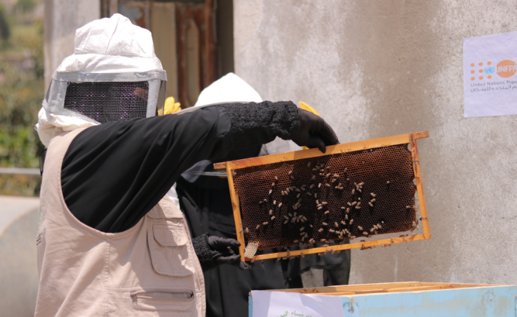 Someone in a vest and protective clothes handles a honeycomb covered in bees