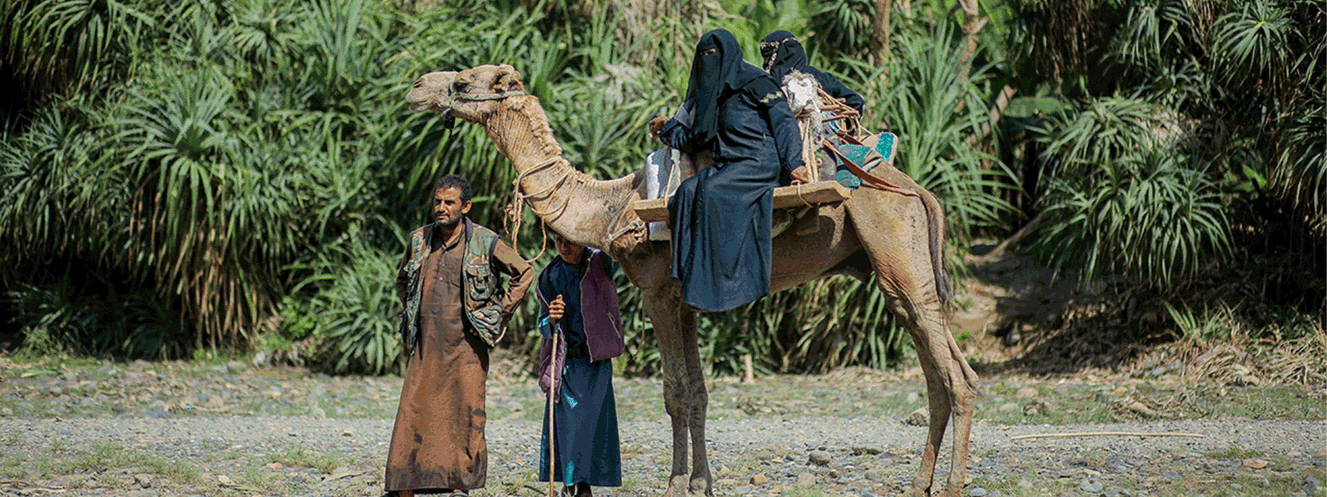 الوسائط المتعددة