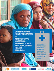 UN Joint Programme on Reproductive, Maternal, Newborn, Child, and Adolescent Health