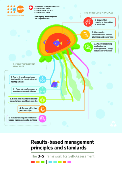 Results-based management principles and standards