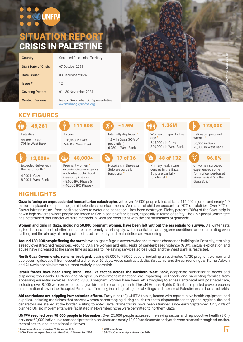 Palestine Situation Report #12 - November 2024