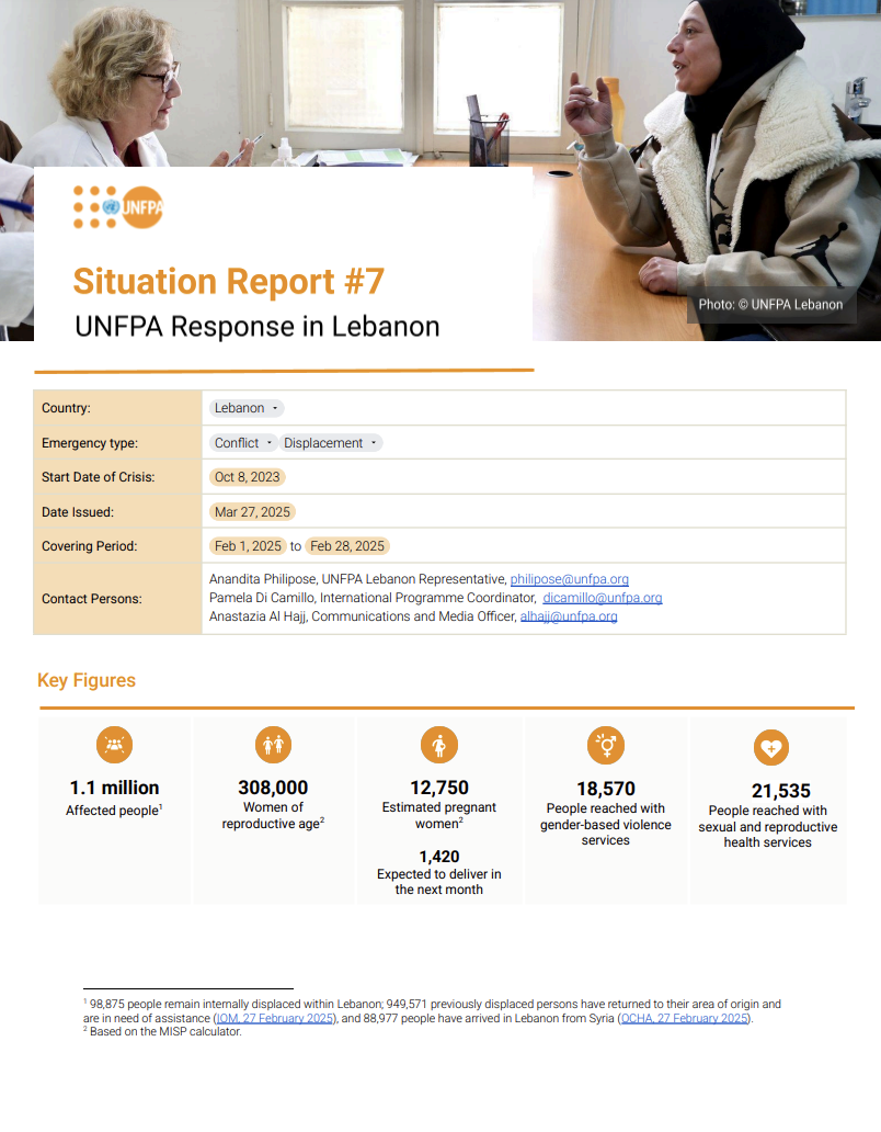 Lebanon Situation Report #7 - February 2025