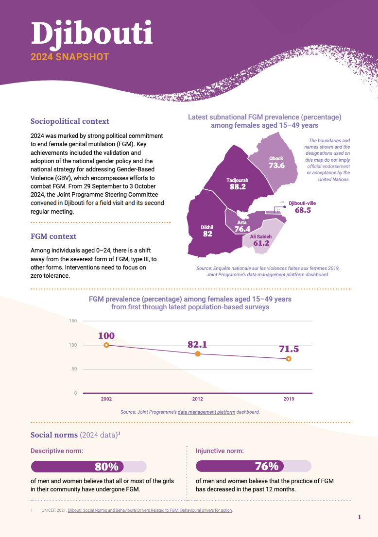 2024 FGM Country Snapshot: Djibouti