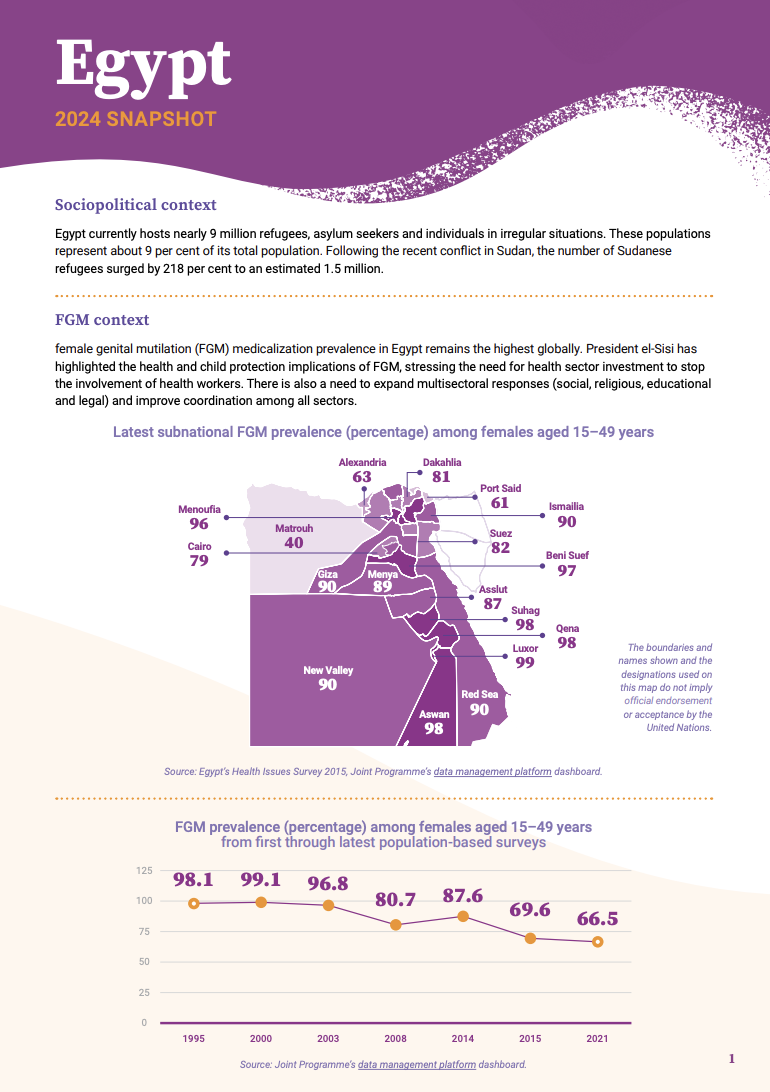 2024 FGM Country Snapshot: Egypt