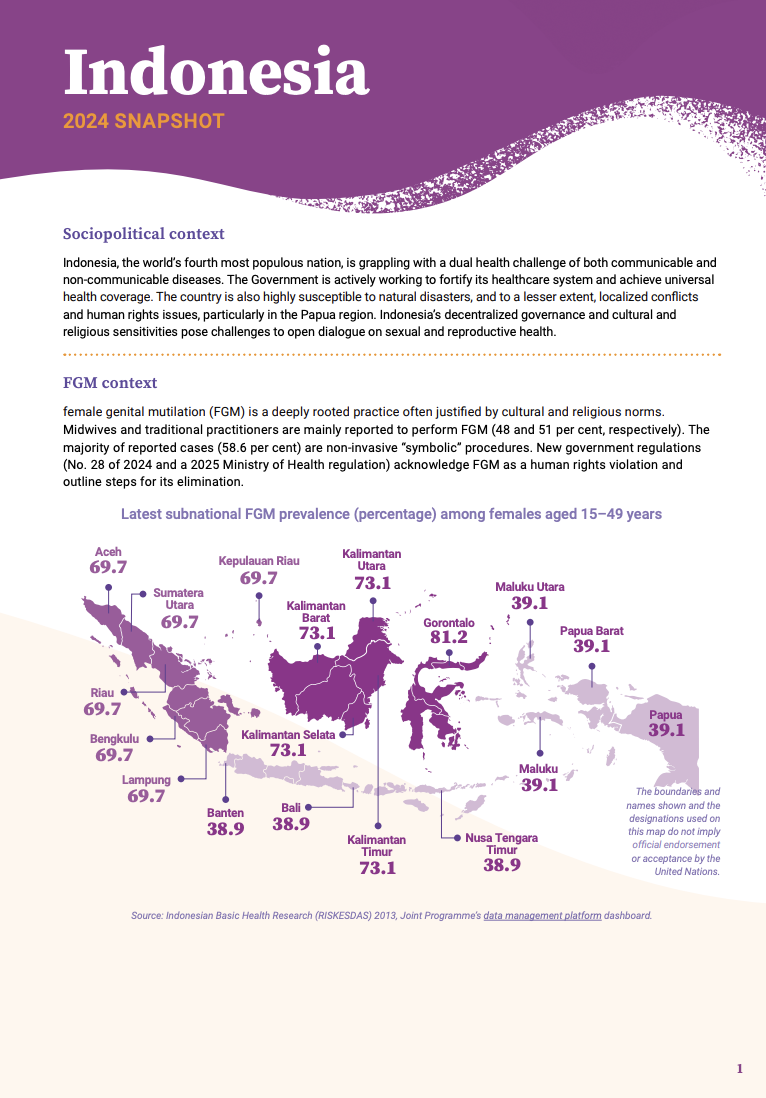 2024 FGM Country Snapshot: Indonesia