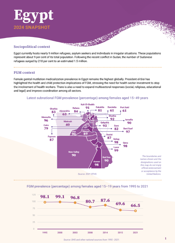 2024 FGM Country Snapshot: Egypt
