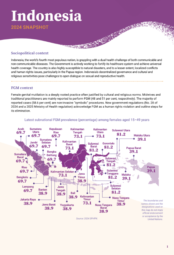 2024 FGM Country Snapshot: Indonesia