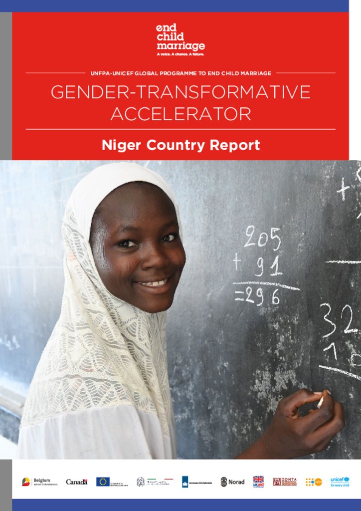 Gender-Transformative Accelerator - Niger Country Report