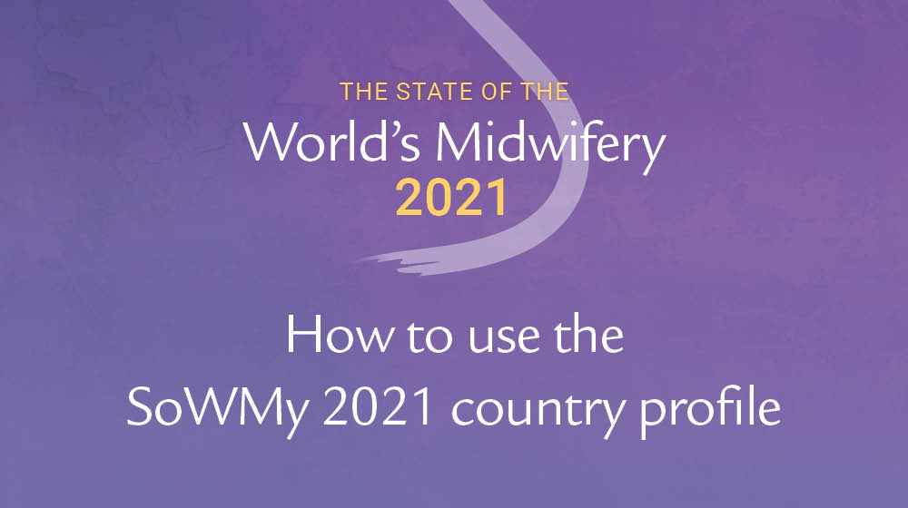 How to use the SoWMy 2021 country profile