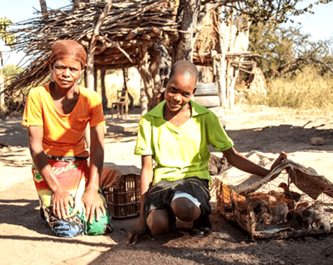 Young entrepreneur in Zimbabwe A woman, her daughter and their chickens
