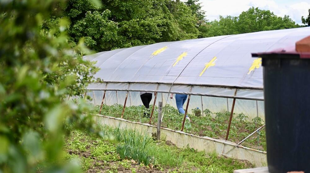Gender equality as a path to empowerment for refugee women and survivors of sexual violence in Bosnia and Herzegovina