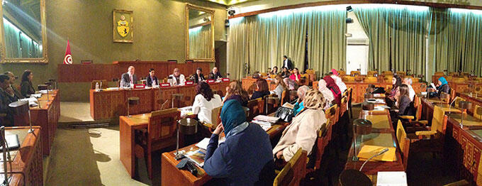 Gender equality guaranteed in Tunisia's new constitution