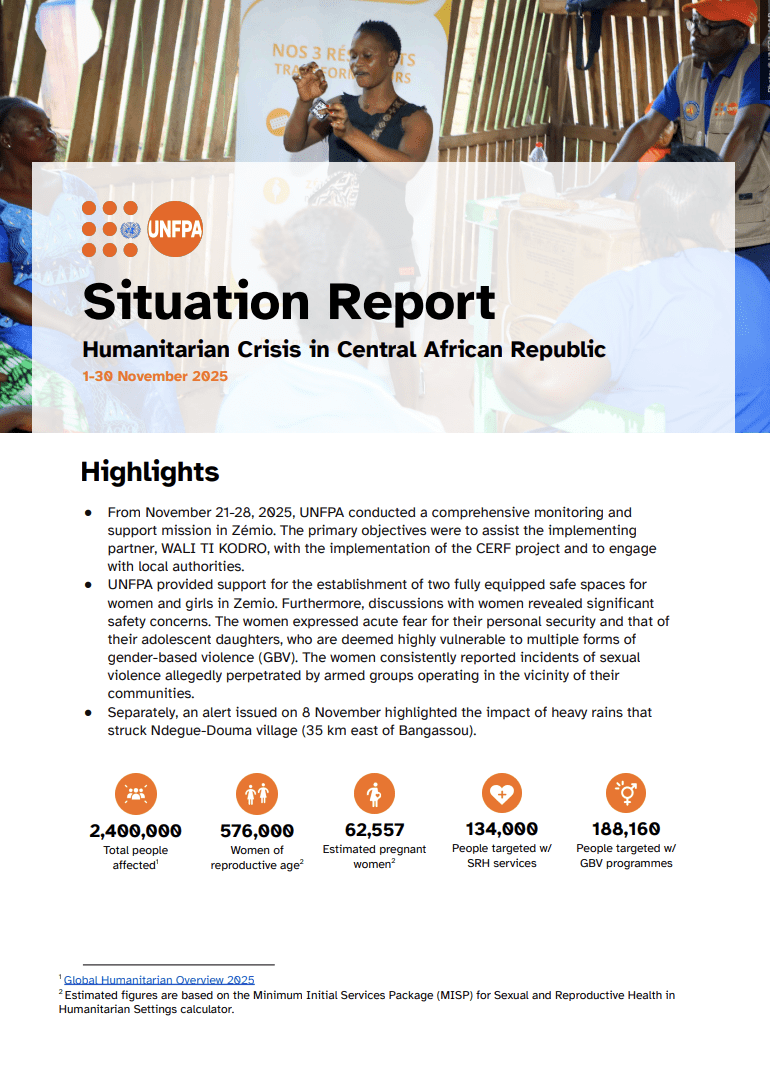 Situation Report on the Crisis in the Central African Republic - November 2025