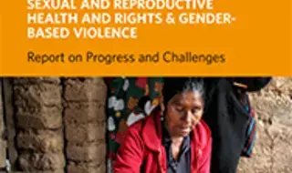 Recommendations of the UN Permanent Forum on Indigenous Issues…