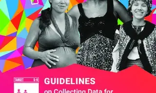 Guidelines on Collecting Data for SDG Indicator 5.6.1 on Women’s…