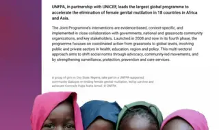 At a Glance – Joint Programme on the Elimination of Female…