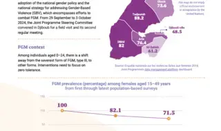 2024 FGM Country Snapshot: Djibouti