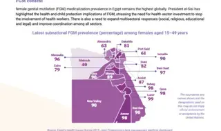 2024 FGM Country Snapshot: Egypt