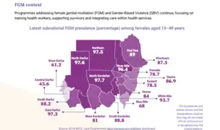 2024 FGM Country Snapshot: Sudan