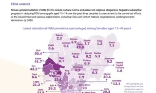2024 FGM Country Snapshot: Nigeria