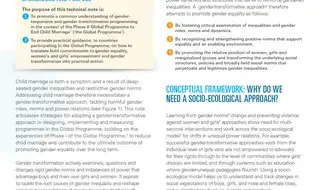 Nota técnica sobre enfoques transformadores de género en el...