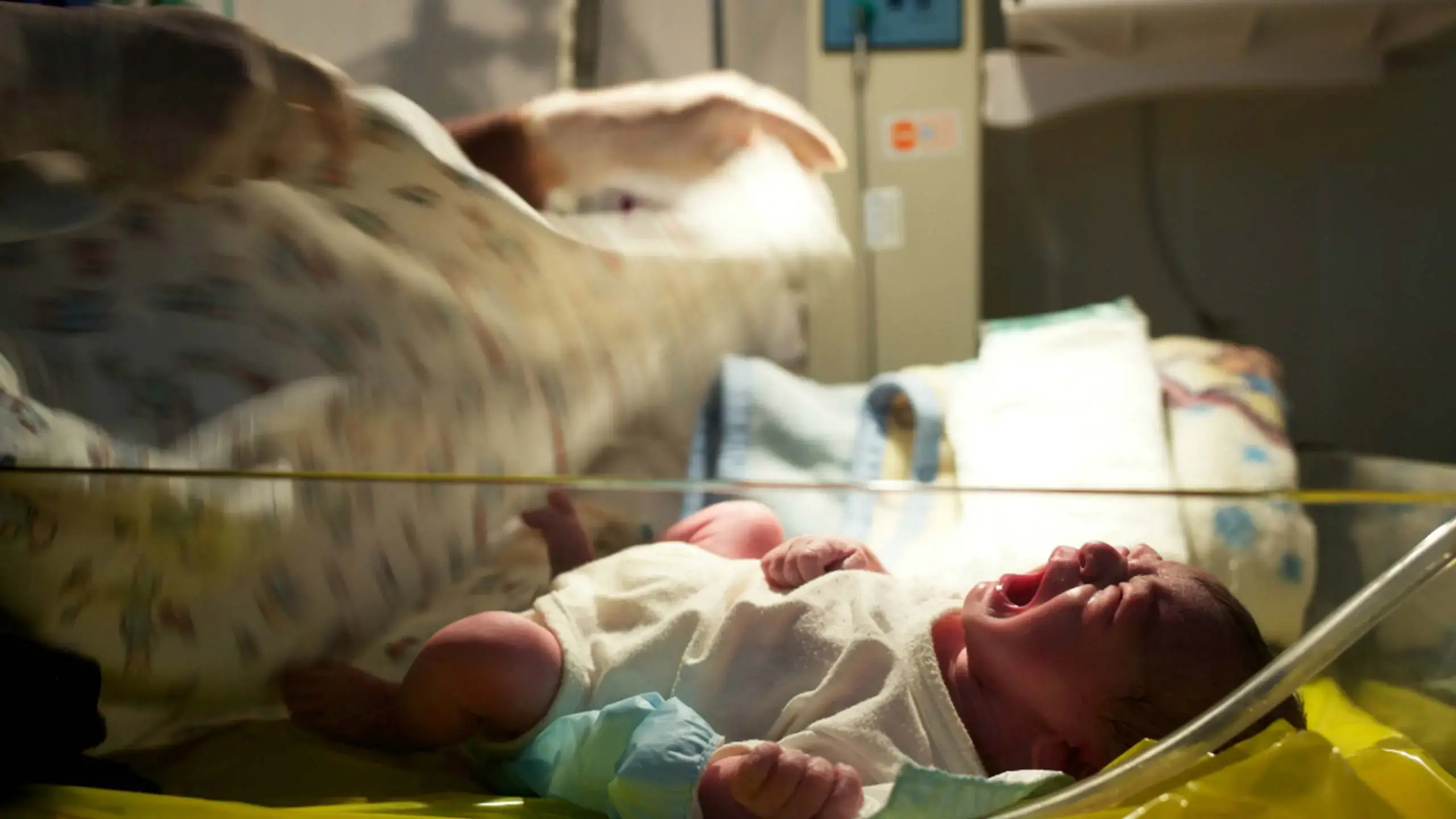 Safe Birth Even Here: Jordan’s Zaatari refugee camp 