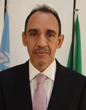 Mohamed Lemine Salem Mohamed Beiba