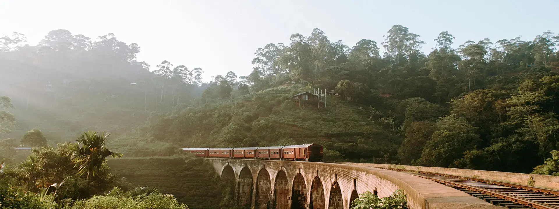 Brown Train Rail Surrounded of Green Leaf Tree