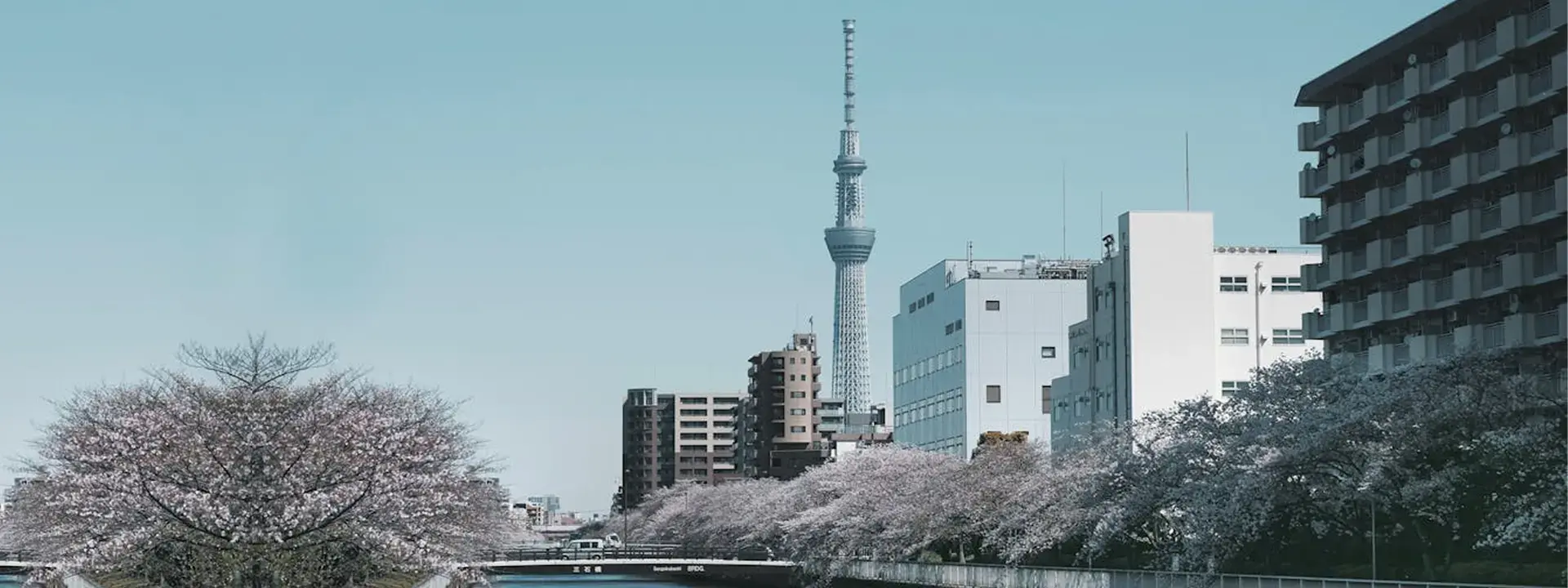 River Near a City
