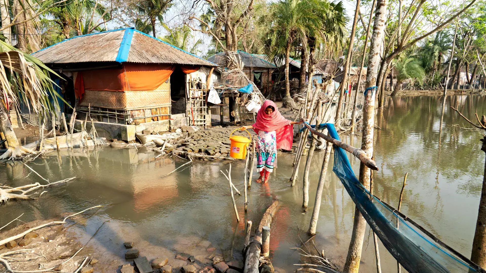 Conférence des Nations Unies sur les changements climatiques (COP30)