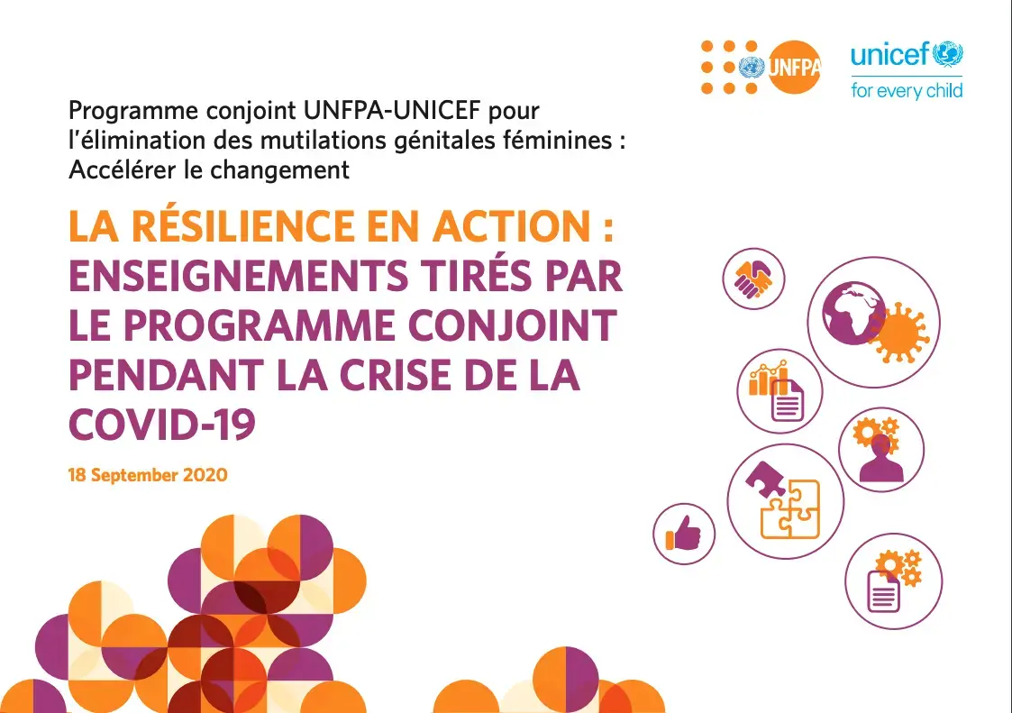 La résilience en action: leçons tirées du programme conjoint pendant la crise…