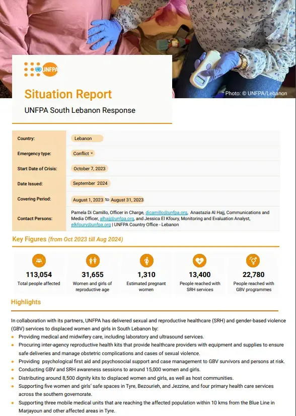 South Lebanon Situation Report #1 - August  2024