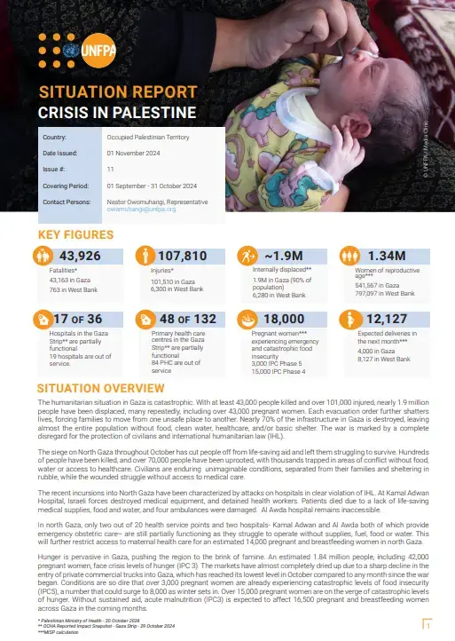Palestine Situation Report #11 - October 2024