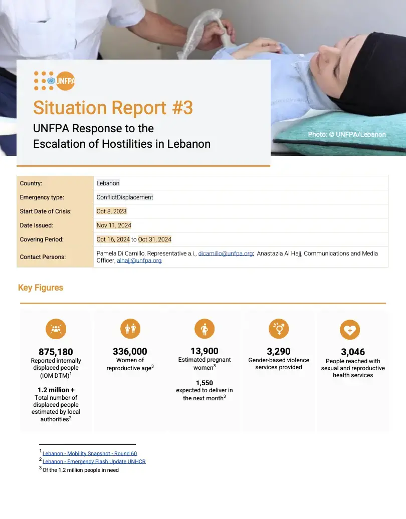Lebanon Situation Report #3 - November 2024