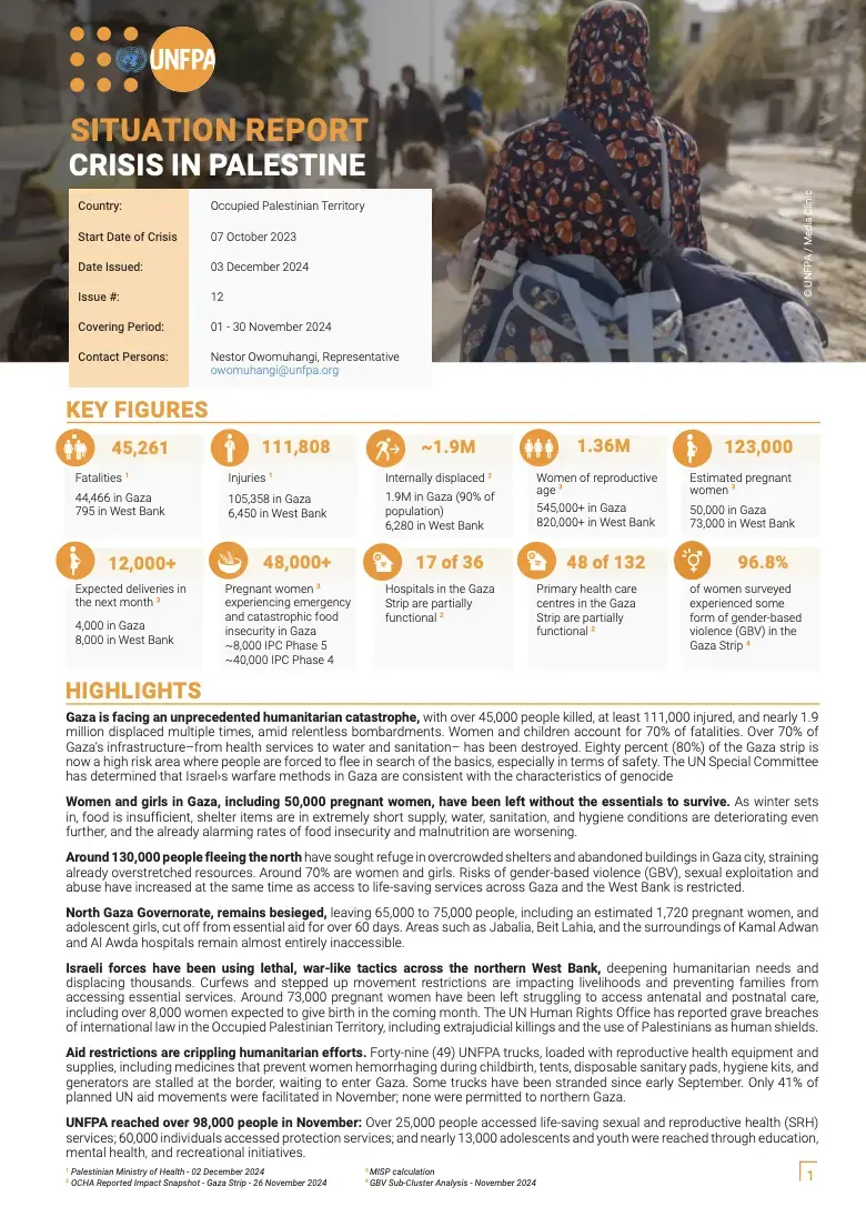 Palestine Situation Report #12 - November 2024