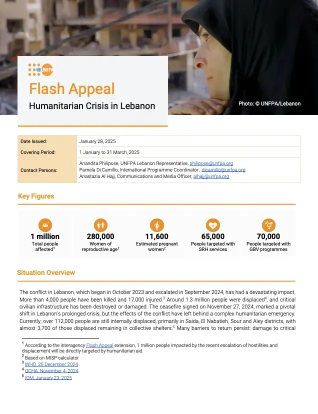 Lebanon Flash Appeal - January 2025