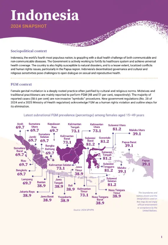2024 FGM Country Snapshot: Indonesia