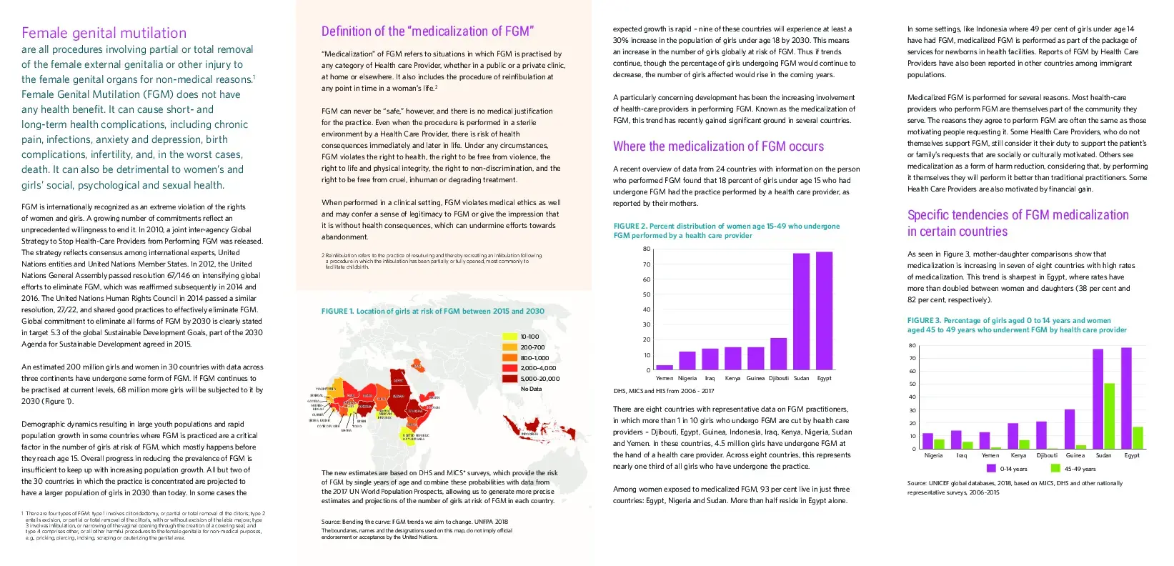 Brief on the medicalization of female genital mutilation 