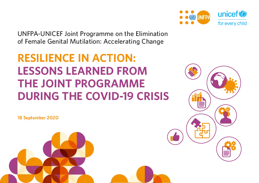 Resilience In Action: Lessons Learned From The Joint Programme During The Covid…